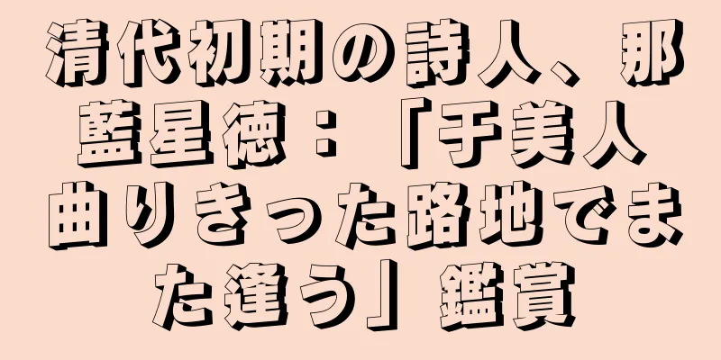 清代初期の詩人、那藍星徳：「于美人　曲りきった路地でまた逢う」鑑賞