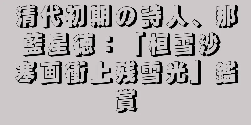 清代初期の詩人、那藍星徳：「桓雪沙 寒画衝上残雪光」鑑賞