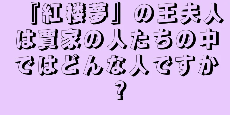 『紅楼夢』の王夫人は賈家の人たちの中ではどんな人ですか？
