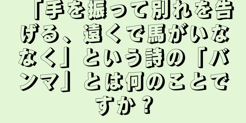 「手を振って別れを告げる、遠くで馬がいななく」という詩の「バンマ」とは何のことですか？