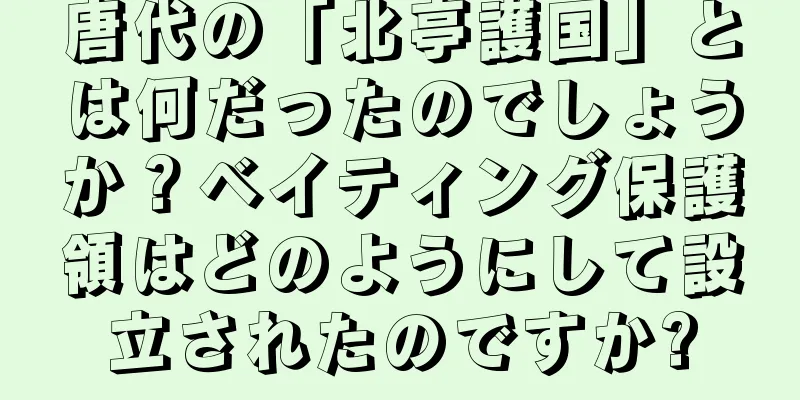 唐代の「北亭護国」とは何だったのでしょうか？ベイティング保護領はどのようにして設立されたのですか?