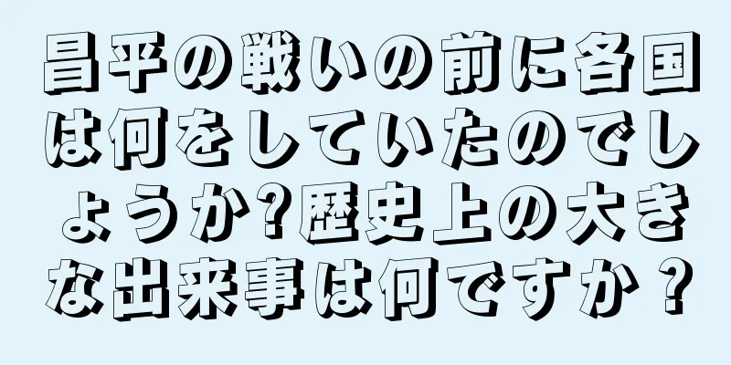 昌平の戦いの前に各国は何をしていたのでしょうか?歴史上の大きな出来事は何ですか？