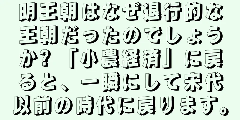 明王朝はなぜ退行的な王朝だったのでしょうか? 「小農経済」に戻ると、一瞬にして宋代以前の時代に戻ります。
