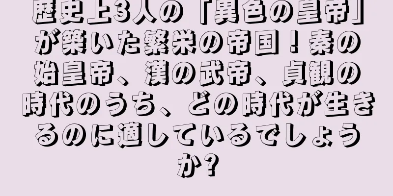 歴史上3人の「異色の皇帝」が築いた繁栄の帝国！秦の始皇帝、漢の武帝、貞観の時代のうち、どの時代が生きるのに適しているでしょうか?