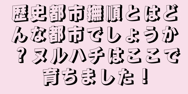 歴史都市撫順とはどんな都市でしょうか？ヌルハチはここで育ちました！