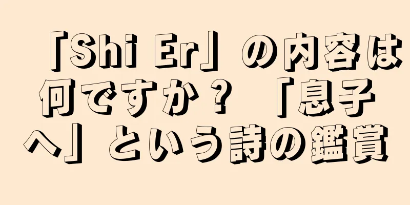 「Shi Er」の内容は何ですか？ 「息子へ」という詩の鑑賞