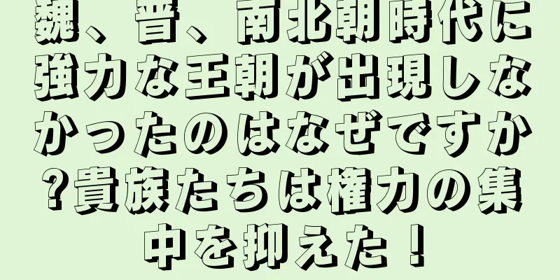 魏、晋、南北朝時代に強力な王朝が出現しなかったのはなぜですか?貴族たちは権力の集中を抑えた！