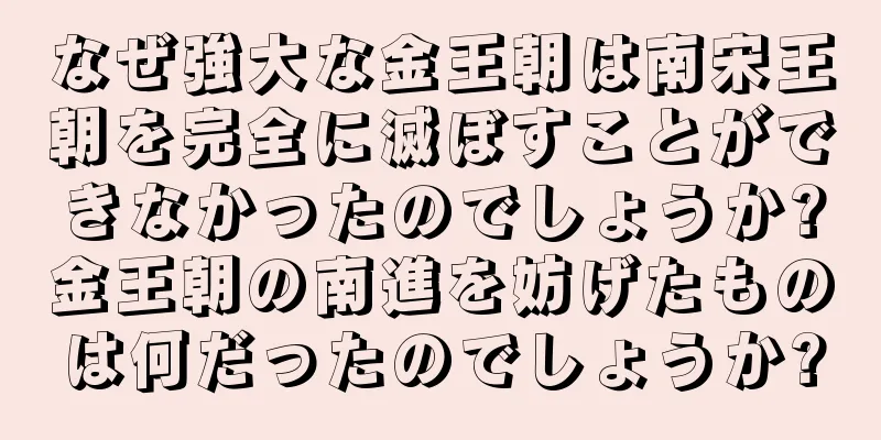 なぜ強大な金王朝は南宋王朝を完全に滅ぼすことができなかったのでしょうか?金王朝の南進を妨げたものは何だったのでしょうか?