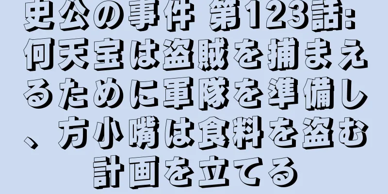 史公の事件 第123話: 何天宝は盗賊を捕まえるために軍隊を準備し、方小嘴は食料を盗む計画を立てる