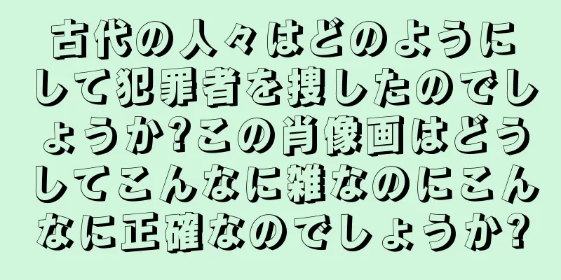 古代の人々はどのようにして犯罪者を捜したのでしょうか?この肖像画はどうしてこんなに雑なのにこんなに正確なのでしょうか?