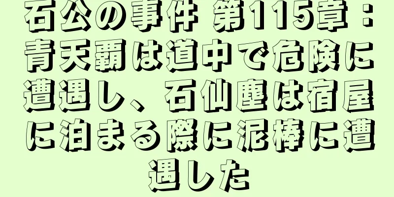 石公の事件 第115章：青天覇は道中で危険に遭遇し、石仙塵は宿屋に泊まる際に泥棒に遭遇した