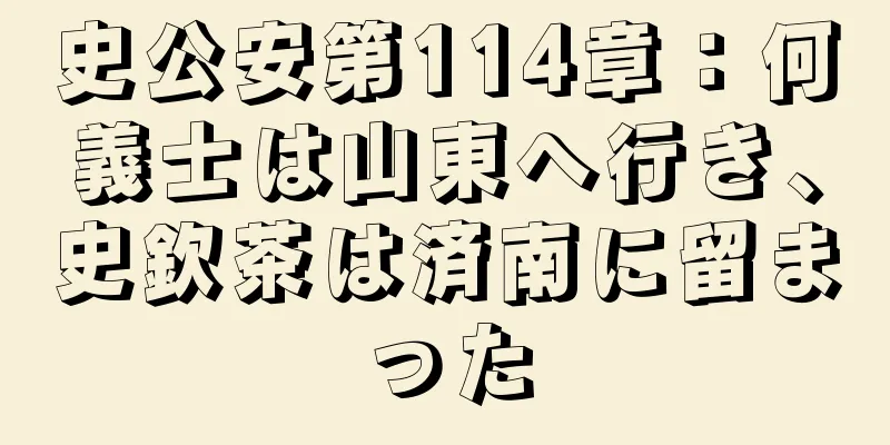 史公安第114章：何義士は山東へ行き、史欽茶は済南に留まった