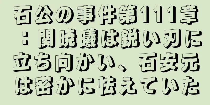 石公の事件第111章：関暁曦は鋭い刃に立ち向かい、石安元は密かに怯えていた