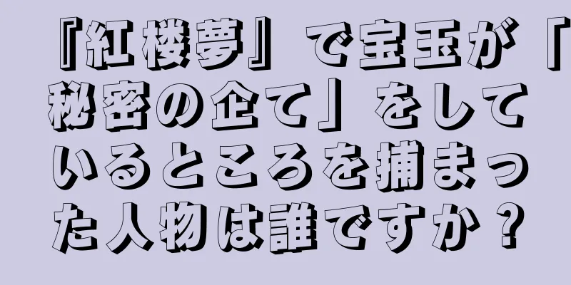 『紅楼夢』で宝玉が「秘密の企て」をしているところを捕まった人物は誰ですか？