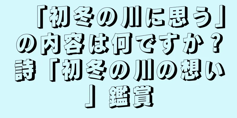 「初冬の川に思う」の内容は何ですか？詩「初冬の川の想い」鑑賞