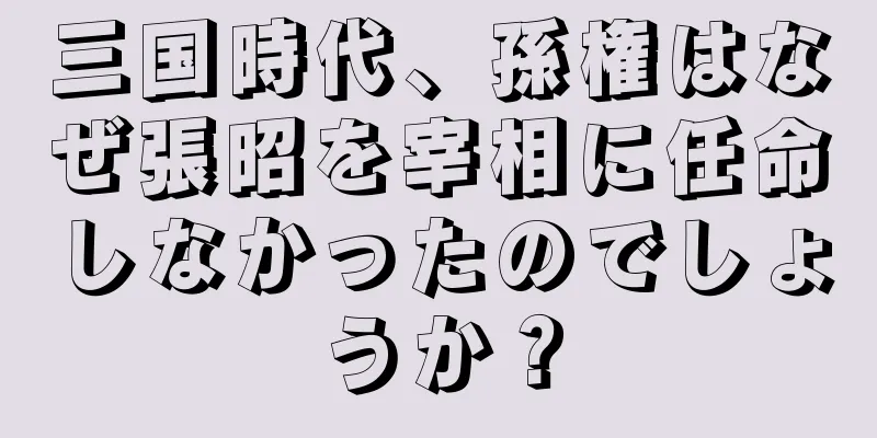 三国時代、孫権はなぜ張昭を宰相に任命しなかったのでしょうか？