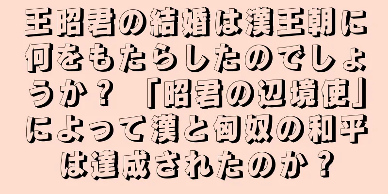 王昭君の結婚は漢王朝に何をもたらしたのでしょうか？ 「昭君の辺境使」によって漢と匈奴の和平は達成されたのか？