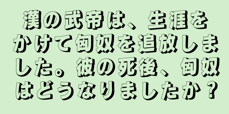 漢の武帝は、生涯をかけて匈奴を追放しました。彼の死後、匈奴はどうなりましたか？