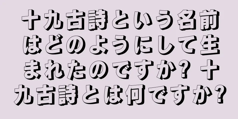 十九古詩という名前はどのようにして生まれたのですか? 十九古詩とは何ですか?
