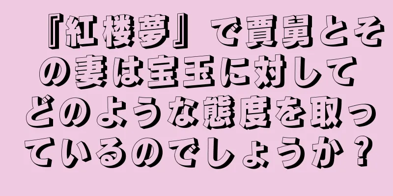 『紅楼夢』で賈舅とその妻は宝玉に対してどのような態度を取っているのでしょうか？