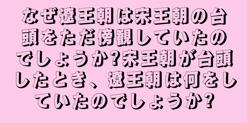 なぜ遼王朝は宋王朝の台頭をただ傍観していたのでしょうか?宋王朝が台頭したとき、遼王朝は何をしていたのでしょうか?