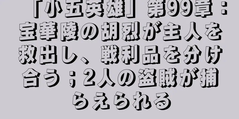 「小五英雄」第99章：宝華陵の胡烈が主人を救出し、戦利品を分け合う；2人の盗賊が捕らえられる