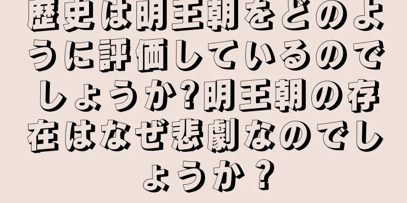 歴史は明王朝をどのように評価しているのでしょうか?明王朝の存在はなぜ悲劇なのでしょうか？