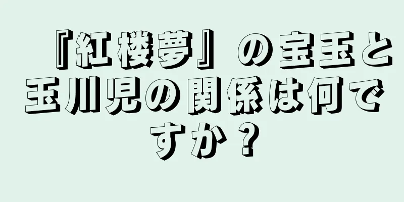 『紅楼夢』の宝玉と玉川児の関係は何ですか？