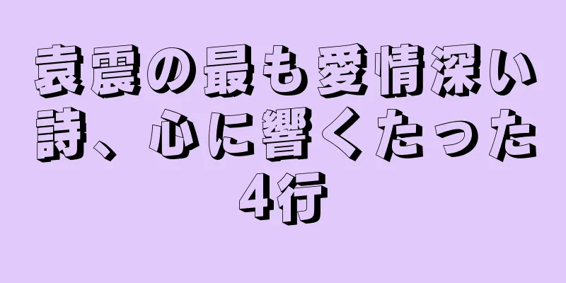 袁震の最も愛情深い詩、心に響くたった4行