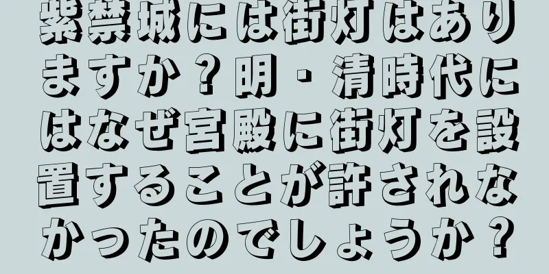 紫禁城には街灯はありますか？明・清時代にはなぜ宮殿に街灯を設置することが許されなかったのでしょうか？