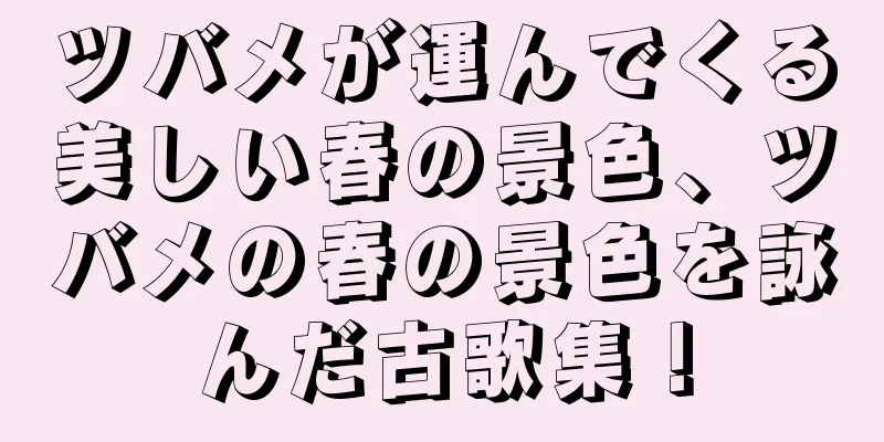 ツバメが運んでくる美しい春の景色、ツバメの春の景色を詠んだ古歌集！