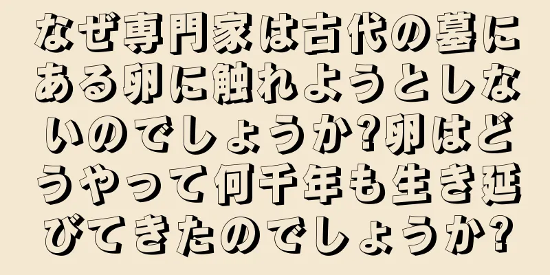 なぜ専門家は古代の墓にある卵に触れようとしないのでしょうか?卵はどうやって何千年も生き延びてきたのでしょうか?