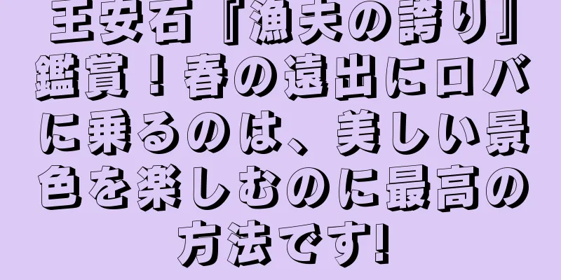 王安石『漁夫の誇り』鑑賞！春の遠出にロバに乗るのは、美しい景色を楽しむのに最高の方法です!