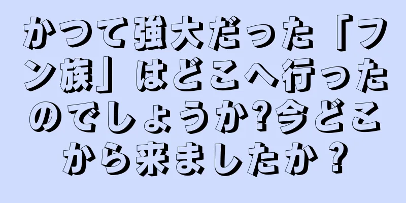 かつて強大だった「フン族」はどこへ行ったのでしょうか?今どこから来ましたか？