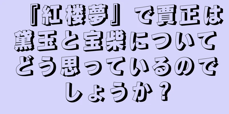 『紅楼夢』で賈正は黛玉と宝柴についてどう思っているのでしょうか？