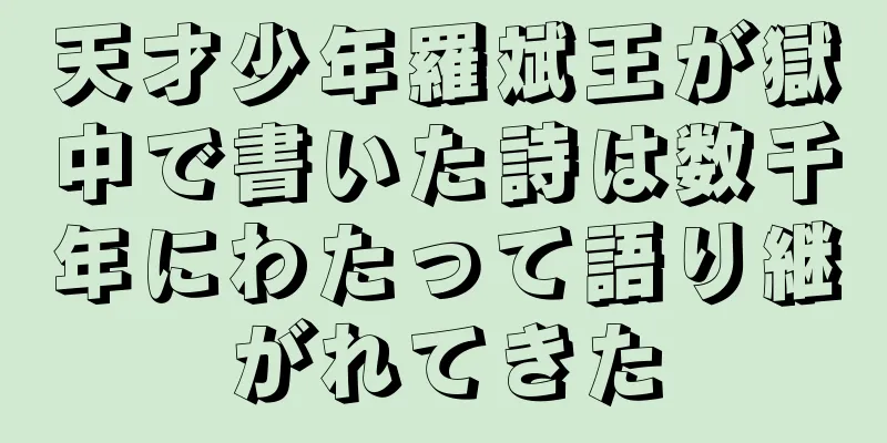 天才少年羅斌王が獄中で書いた詩は数千年にわたって語り継がれてきた