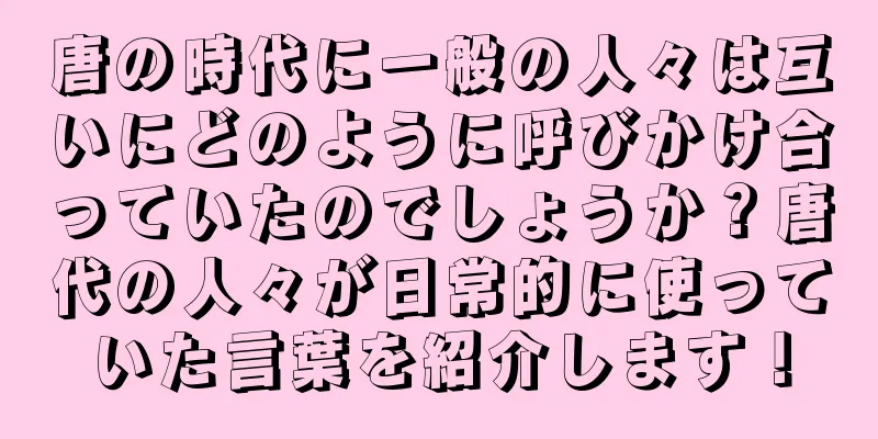 唐の時代に一般の人々は互いにどのように呼びかけ合っていたのでしょうか？唐代の人々が日常的に使っていた言葉を紹介します！