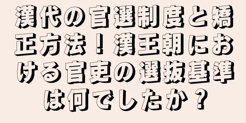 漢代の官選制度と矯正方法！漢王朝における官吏の選抜基準は何でしたか？