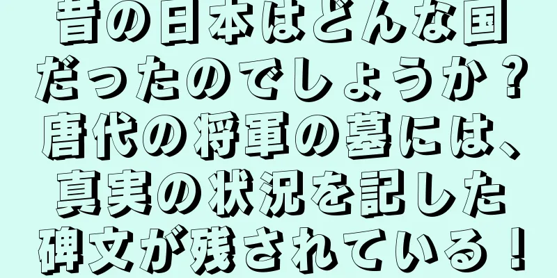 昔の日本はどんな国だったのでしょうか？唐代の将軍の墓には、真実の状況を記した碑文が残されている！