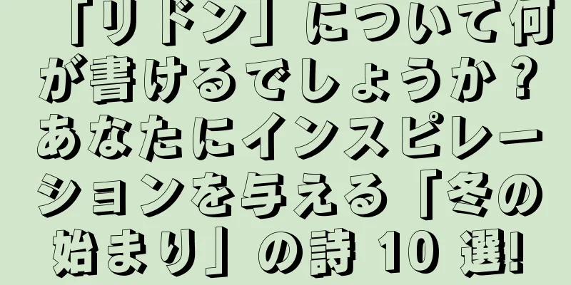 「リドン」について何が書けるでしょうか？あなたにインスピレーションを与える「冬の始まり」の詩 10 選!