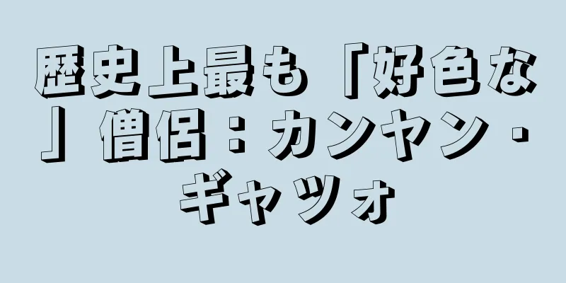 歴史上最も「好色な」僧侶：カンヤン・ギャツォ