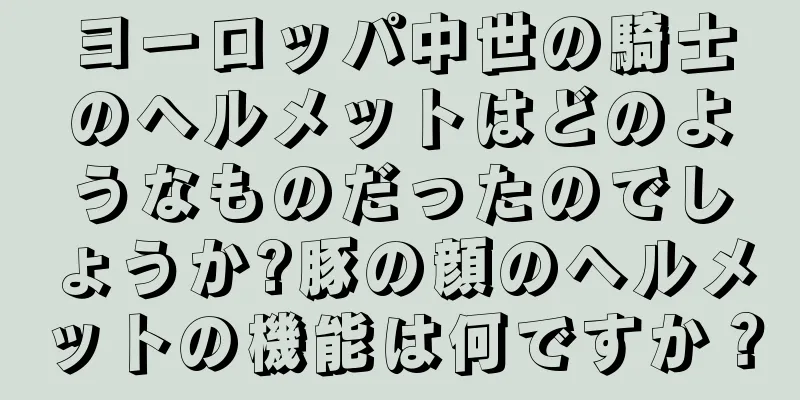 ヨーロッパ中世の騎士のヘルメットはどのようなものだったのでしょうか?豚の顔のヘルメットの機能は何ですか？