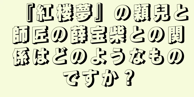 『紅楼夢』の穎兒と師匠の薛宝柴との関係はどのようなものですか？