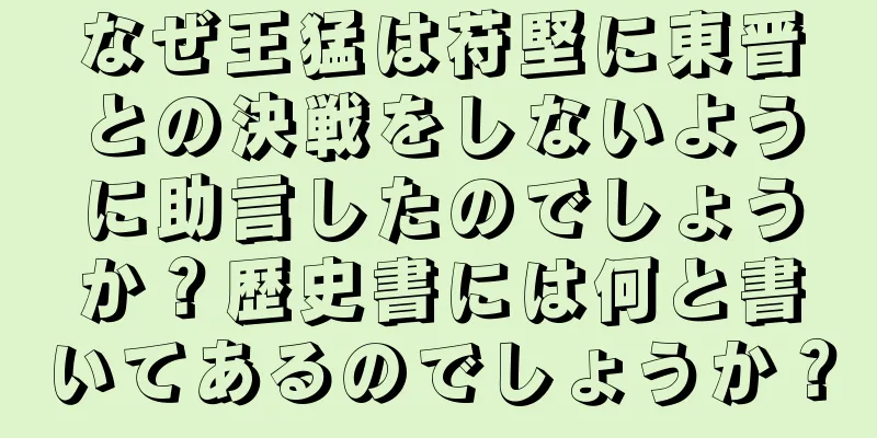 なぜ王猛は苻堅に東晋との決戦をしないように助言したのでしょうか？歴史書には何と書いてあるのでしょうか？