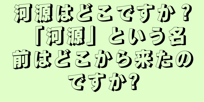 河源はどこですか？ 「河源」という名前はどこから来たのですか?