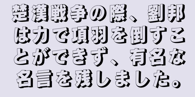 楚漢戦争の際、劉邦は力で項羽を倒すことができず、有名な名言を残しました。