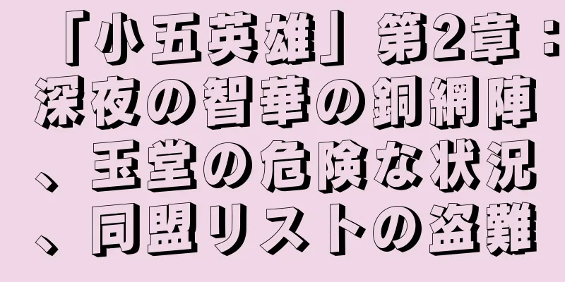 「小五英雄」第2章：深夜の智華の銅網陣、玉堂の危険な状況、同盟リストの盗難