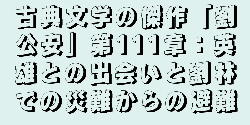 古典文学の傑作「劉公安」第111章：英雄との出会いと劉林での災難からの避難