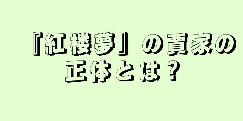 『紅楼夢』の賈家の正体とは？