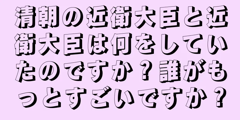清朝の近衛大臣と近衛大臣は何をしていたのですか？誰がもっとすごいですか？
